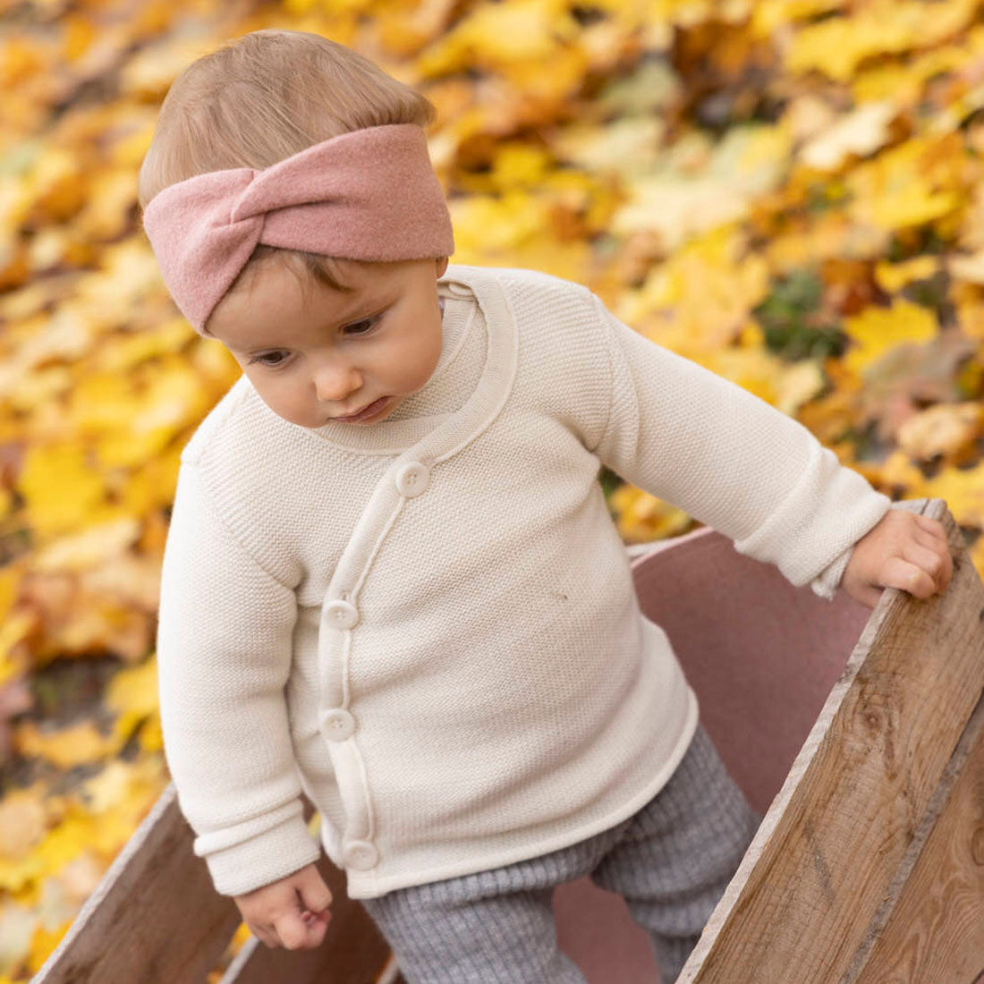 Disana Organic Merino Wool Sweater for Babies/Toddlers